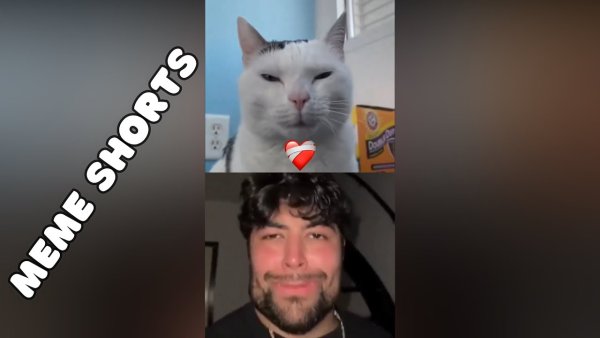 Кот Сигма гигачад