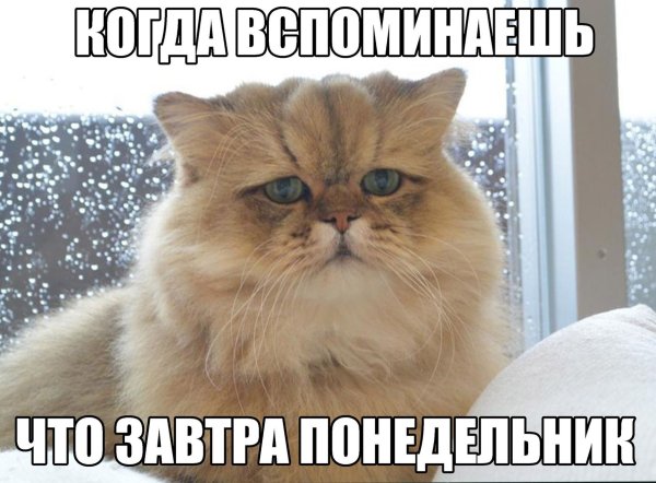 Завтра понедельник картинки