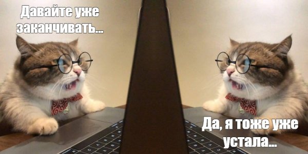 Мем компьютер гиф с котиком