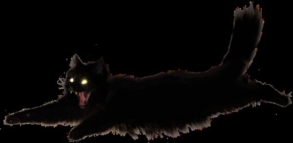 Черный кот летит