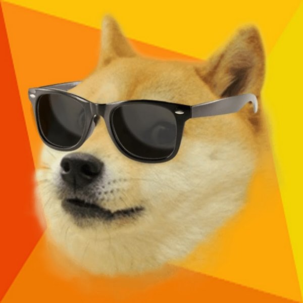 Доги с очками