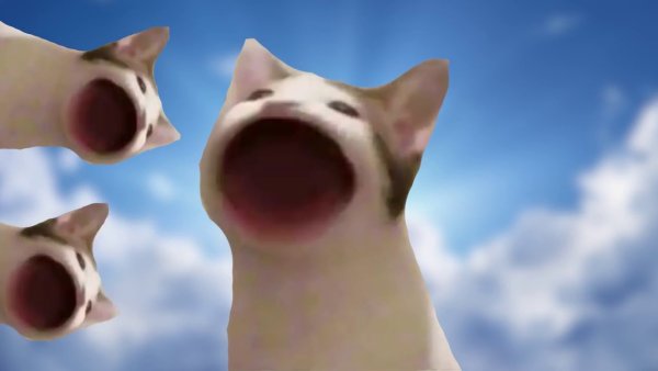 Кот открывает рот Мем