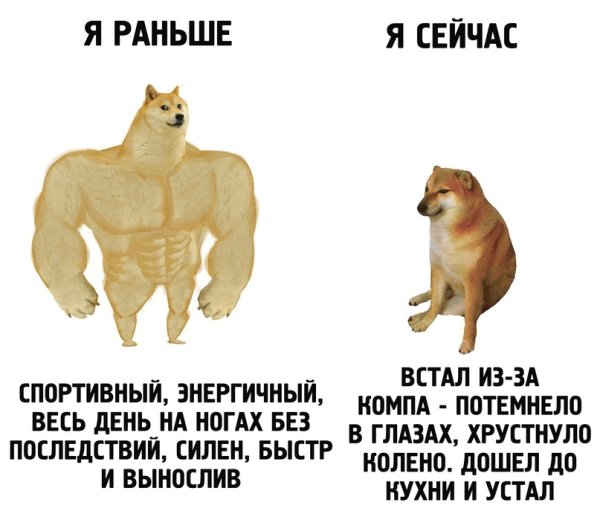 Сильная и слабая собака