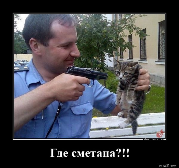 Кот в сметане прикол