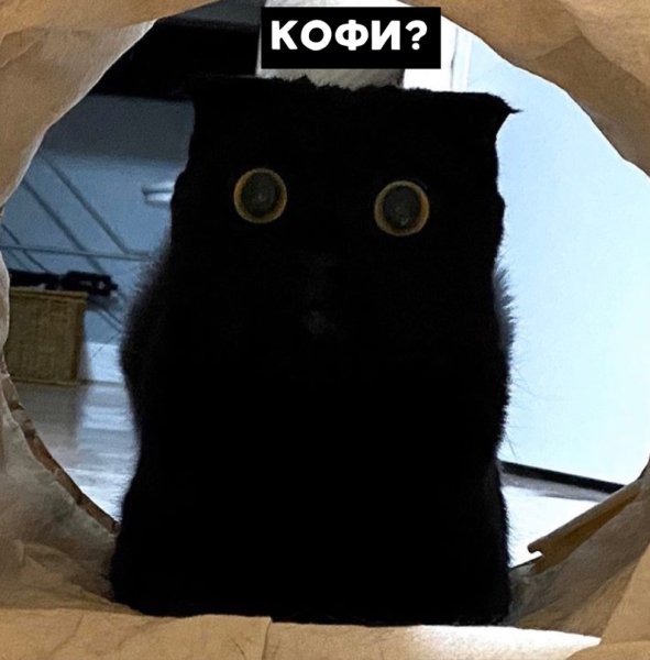Кофе Мем с котом