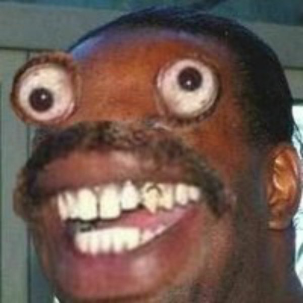 Смешные фото на аватарку