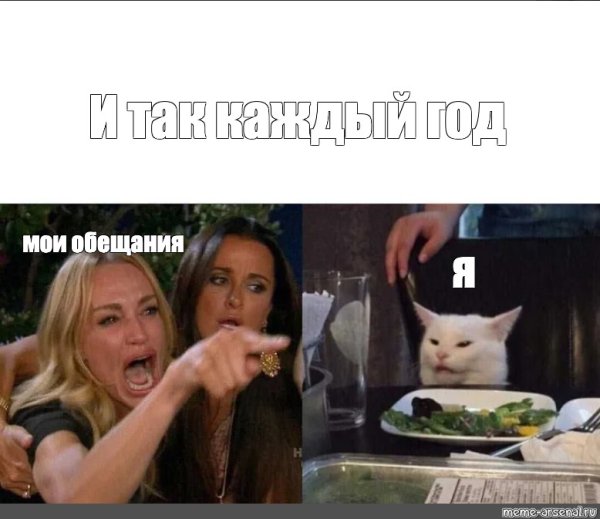 Мемы с котом за столом с надписями