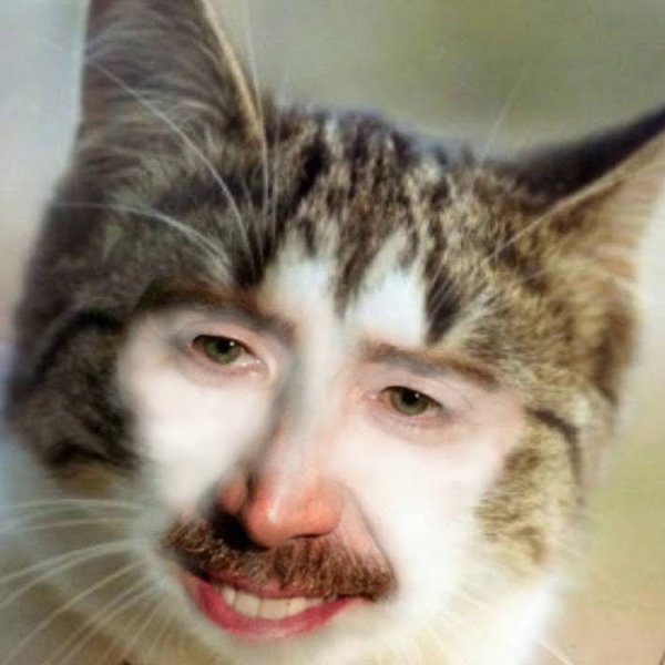 Кот с лицом человека