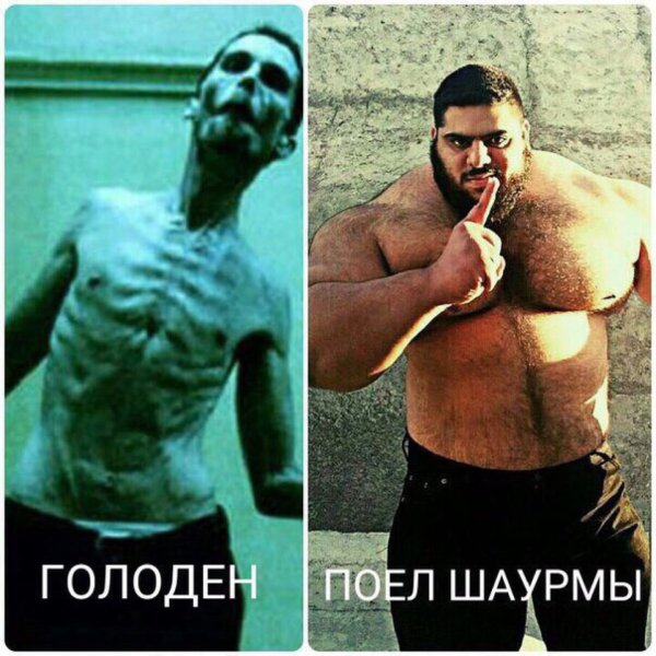 Голодный покушал Мем с собакой