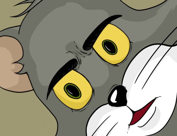 Кот том Мем