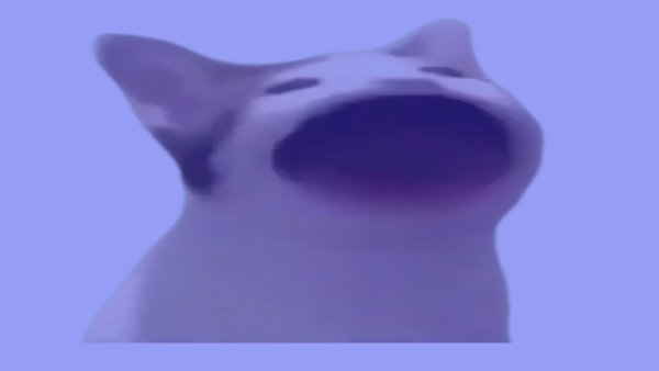 Кот Мем открытый рот