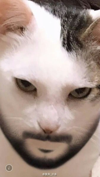 Кт человеческого лица