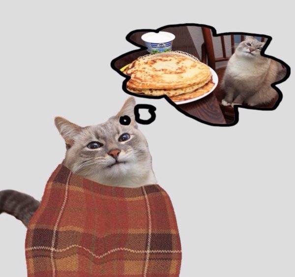 Котик с блинами