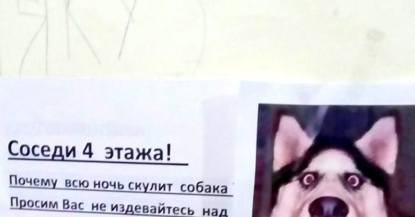У вас собака скулит это я