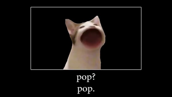 Кот с открытым ртом Мем