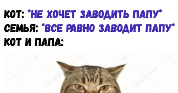 Папа не хотел кота