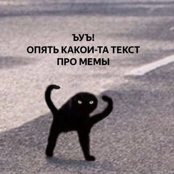 Мем с котом ЪУЪ