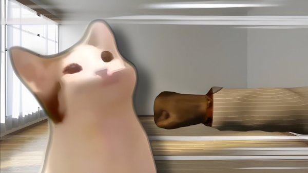 Кот с открытым ртом Мем 2020