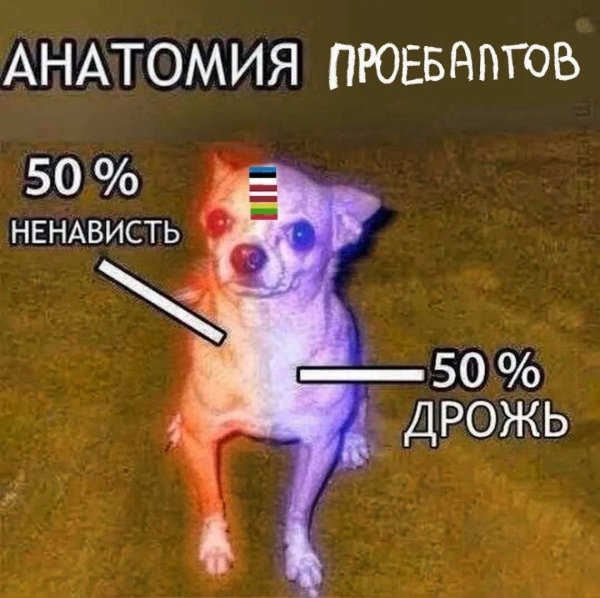 Маленькая собака Мем