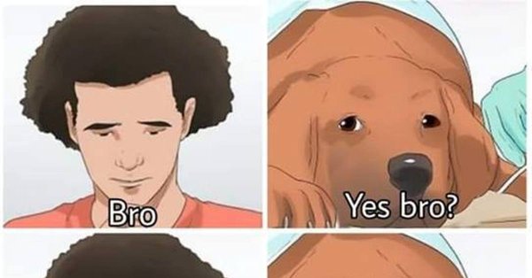 Собака с бритой головой Мем