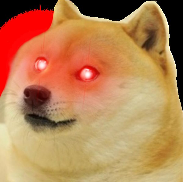 Смущающаяся собака