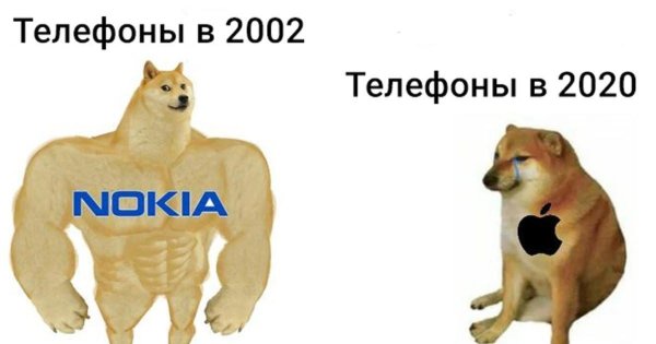 Мемы с собаками