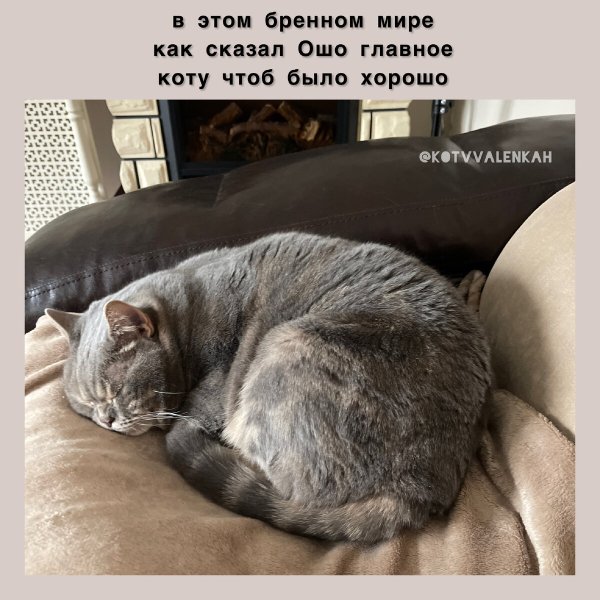 Ананас тоже уходит Мем