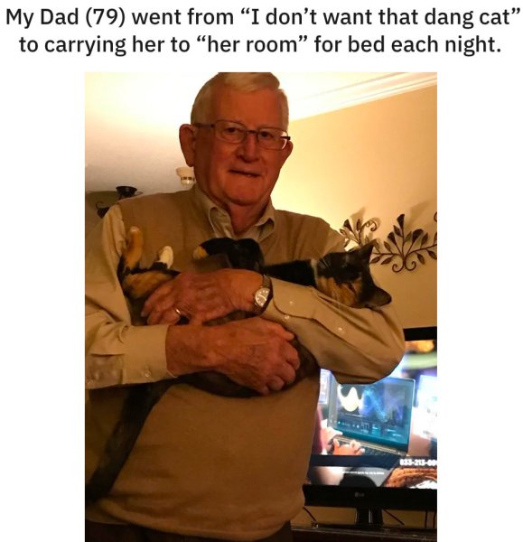 Папа не хотел кота