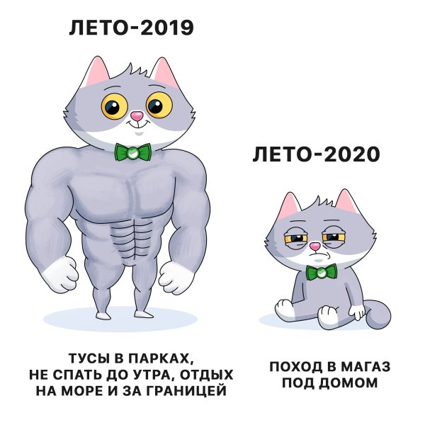 Сбер коты мемы