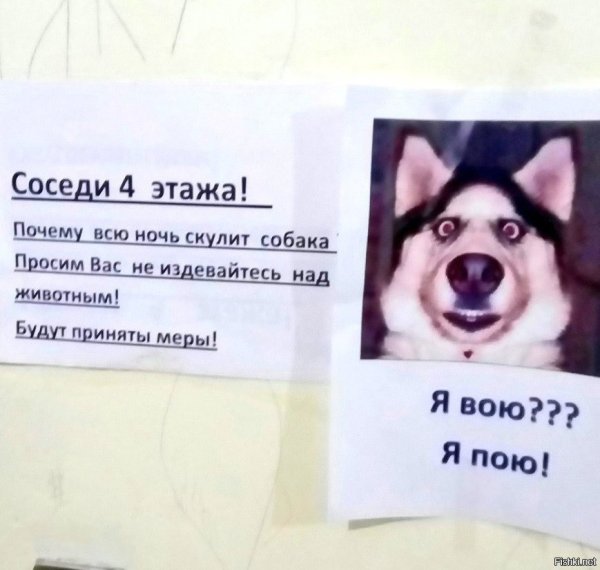 Объявление лает соседская собака