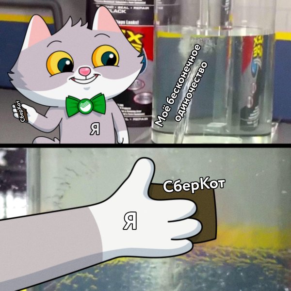 Сбер кот мемы