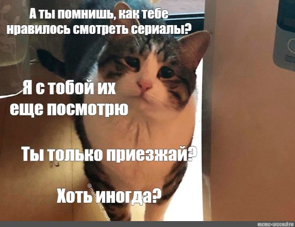 Кот заходи хоть иногда