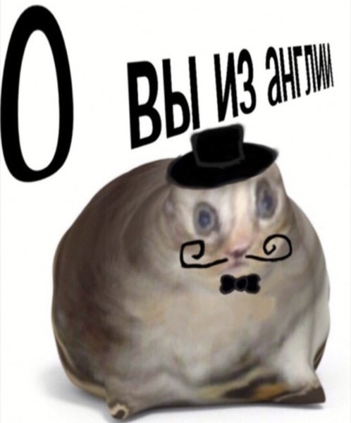 О вы из Англии Мем кот