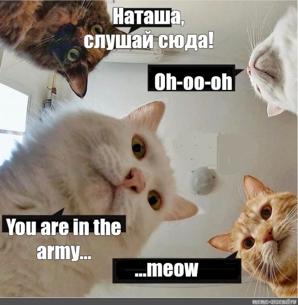 Света мы все уронили