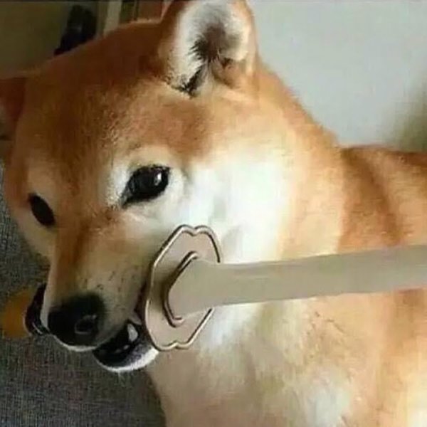 Собака с мечом в зубах