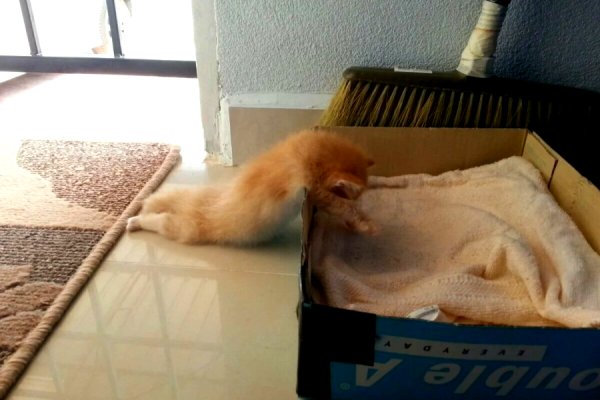 После тяжелого рабочего дня