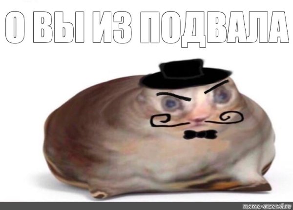 О вы из Англии Мем кот