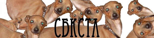 Псина сутулая Мем