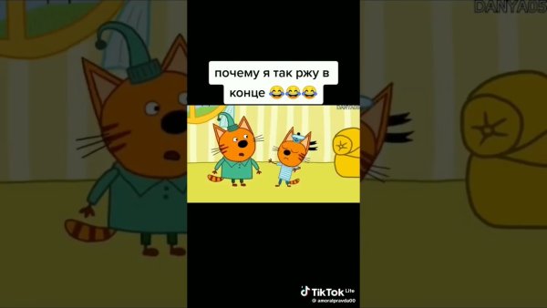 Коты мемы три