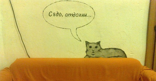 Кот на диване