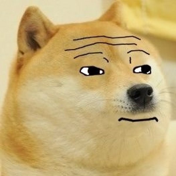 Сиба-ину Догги