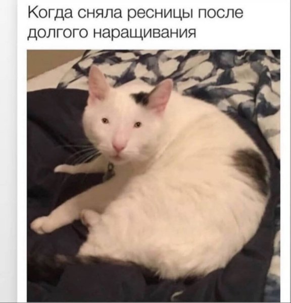 Когда сняла нарощенные ресницы прикольные картинки