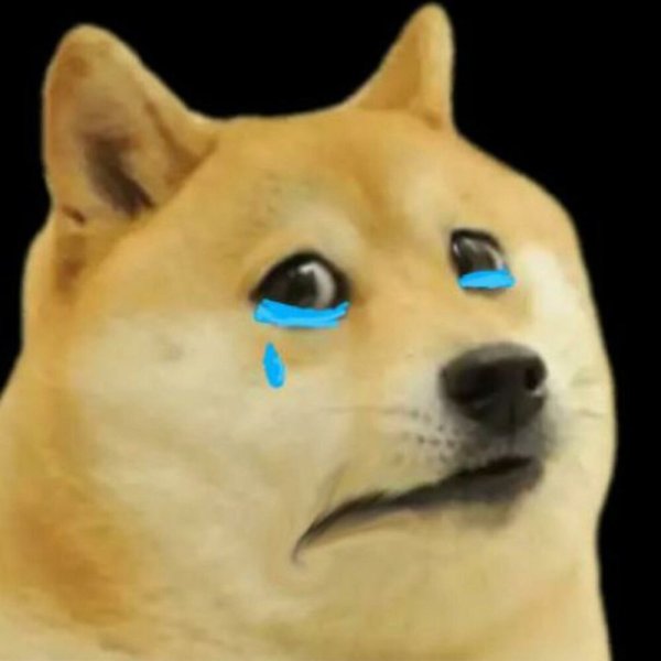 Грустный Doge