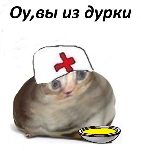 Кот о вы из англии