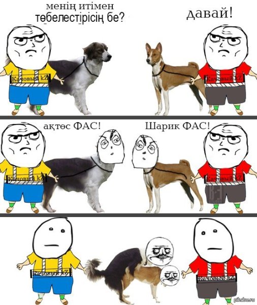 Мем собаки раньше собаки сейчас