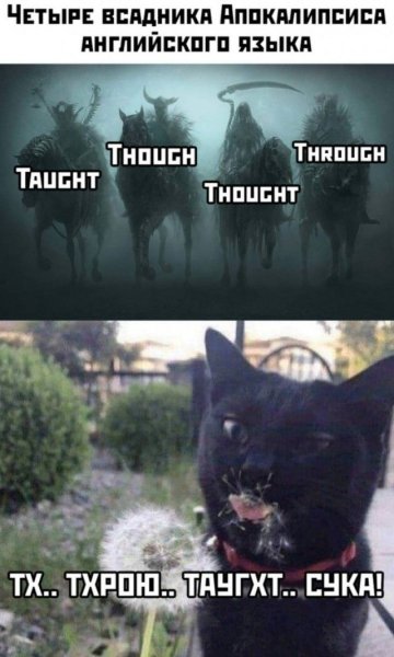 Всадники апокалипсиса thought