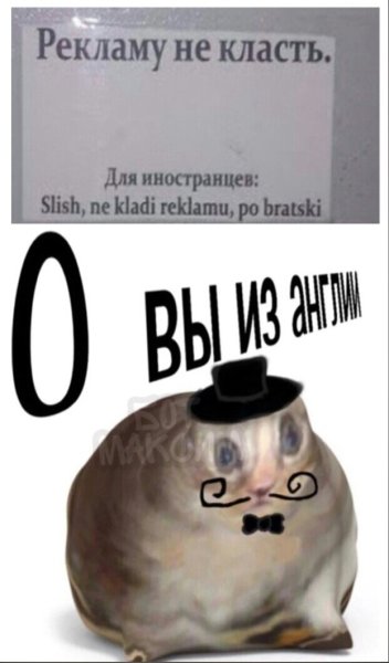 О вы из Англии кот