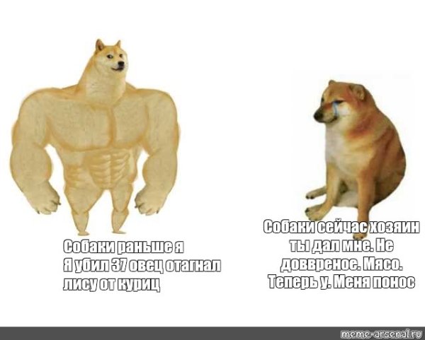 Doge качок