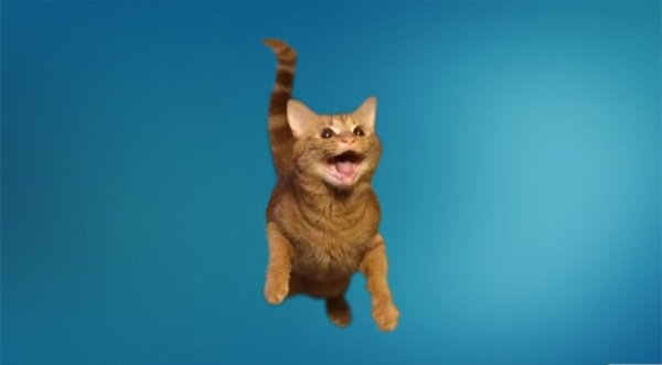 Летающий кот