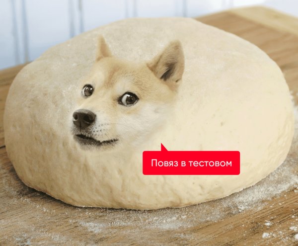 Собака в хлебушке